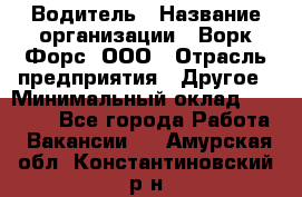 Водитель › Название организации ­ Ворк Форс, ООО › Отрасль предприятия ­ Другое › Минимальный оклад ­ 43 000 - Все города Работа » Вакансии   . Амурская обл.,Константиновский р-н